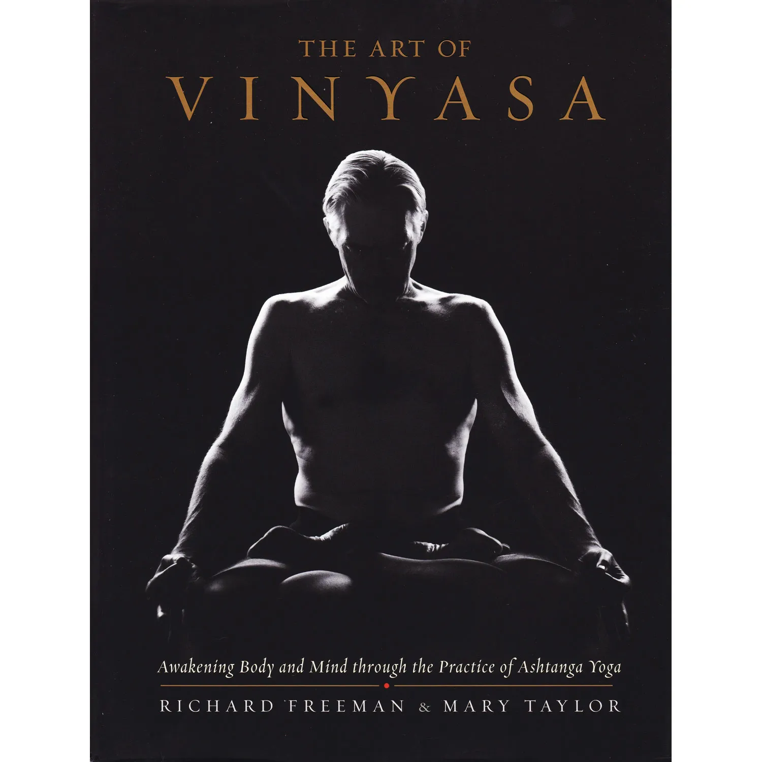 The Art of Vinyasa Book Cover