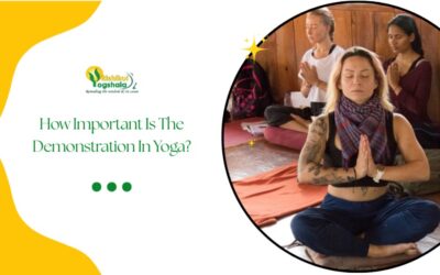 Home 26 How Important Is The Demonstration In Yoga?
