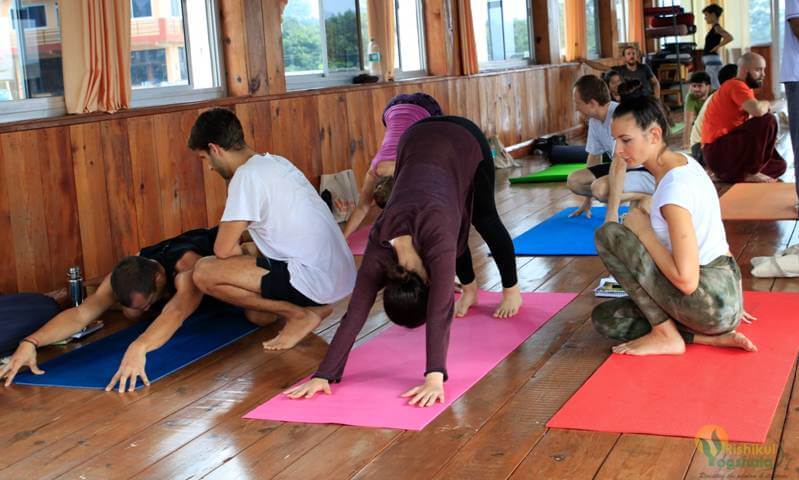 Students Practicing Hatha Yoga During Yoga Teacher Training at Rishikul Yogshala Students Practicing Hatha Yoga During Yoga Teacher Training at Rishikul Yogshala
