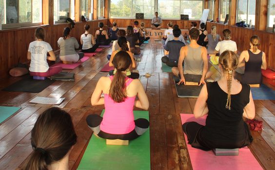 Yoga and Meditation Class at Rishikul Yogshala Rishikesh Group of people practicing yoga in a wooden-floored
