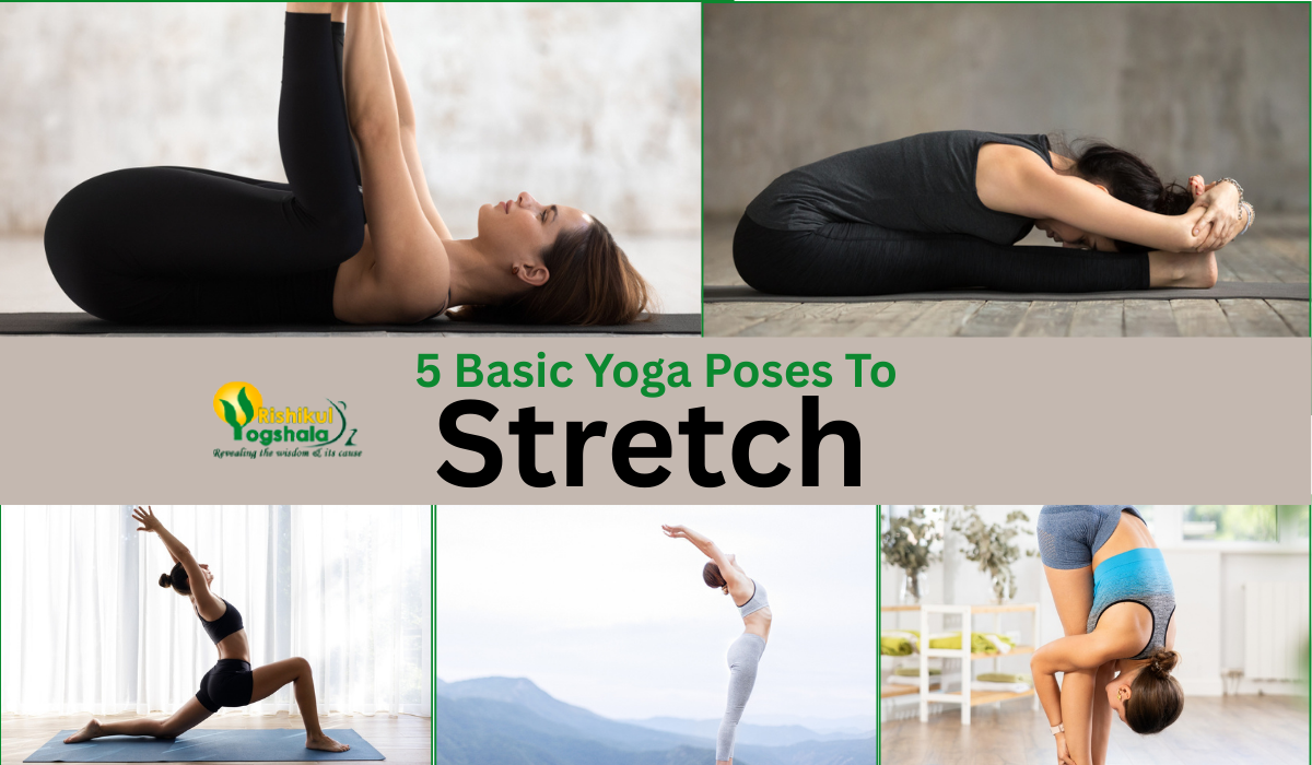 5 Basic Yoga Poses To Stretch