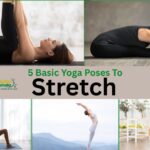 5 Basic Yoga Poses To Stretch