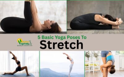 Five Basic Yoga Poses to Stretch: A Gentle Beginner Starter for Tight Bodies