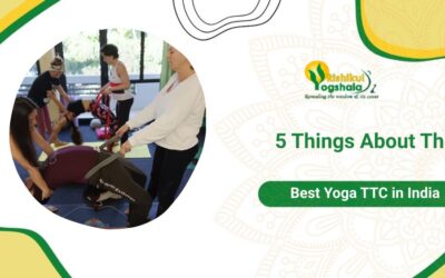 What Makes a Great Yoga TTC in India? Five Quality Markers Worth Looking For