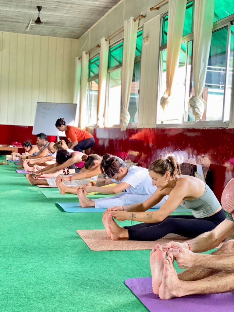 Yoga Class Practicing Seated Forward Bend A group of people participating in a yoga class inside