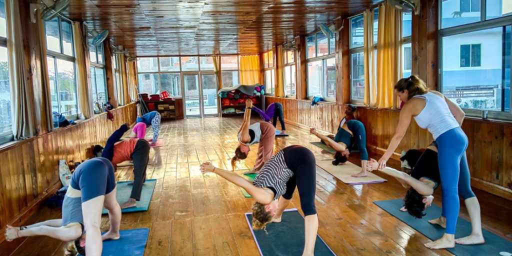 Yoga Session at Rishikul Yogshala Rishikesh Yoga Session at Rishikul Yogshala Rishikesh