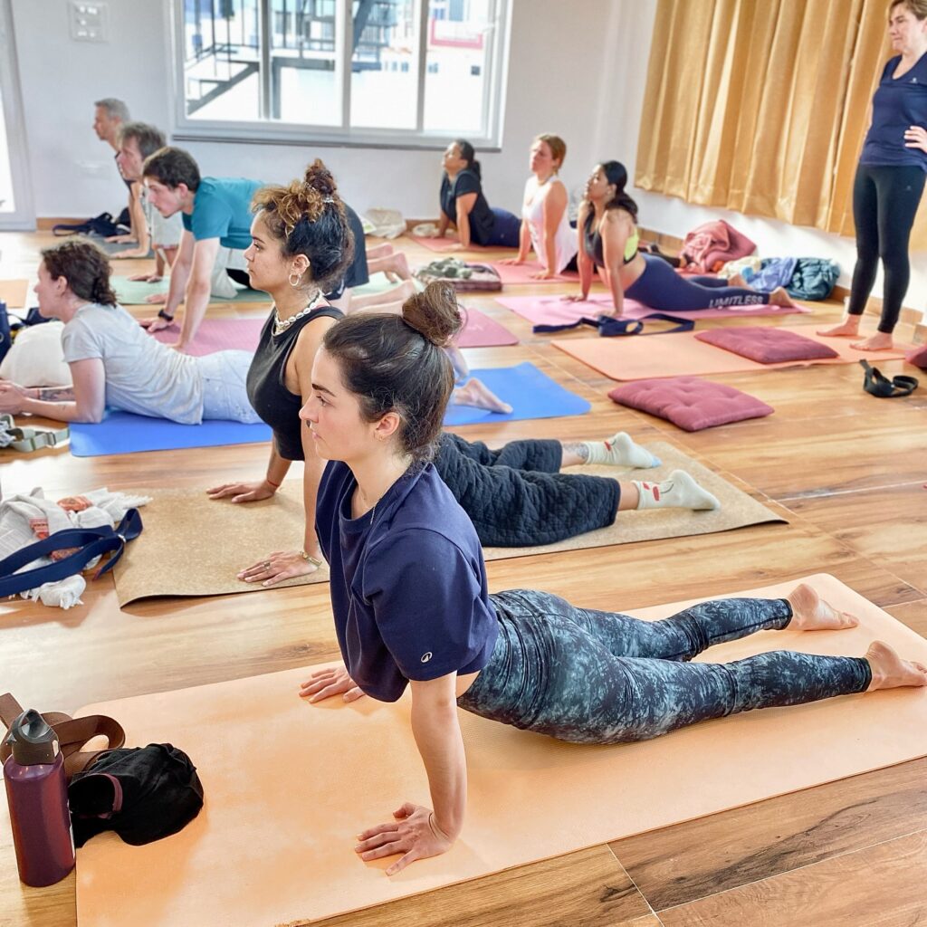 Student performing Cobra Pose (Bhujangasana) in Vinyasa Yoga flow