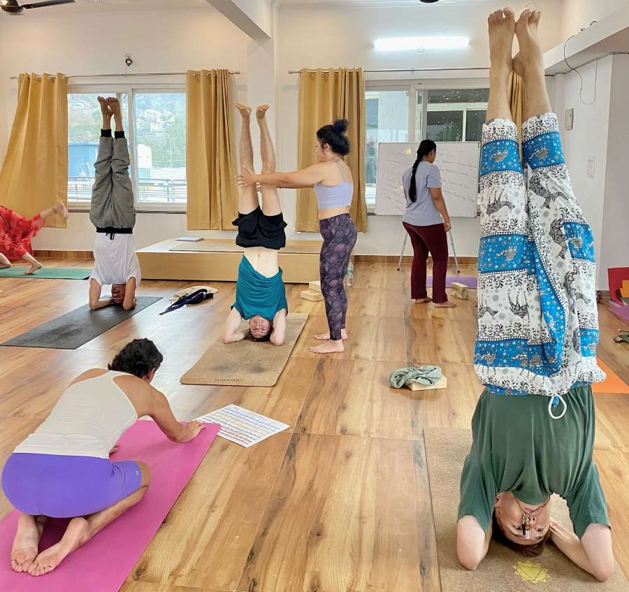 Head Stand Yoga Pose