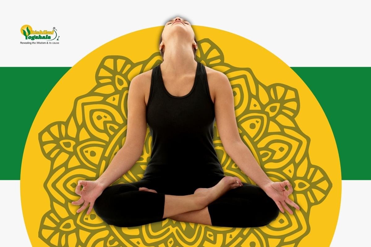 International Yoga Day 2023: Popular yoga poses and their benefits