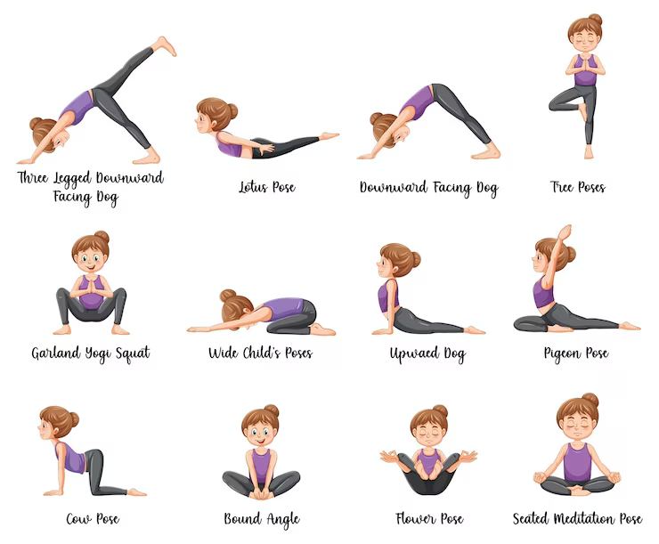 Different Types of Vinyasa Yoga Poses Different Types of Vinyasa Yoga Poses