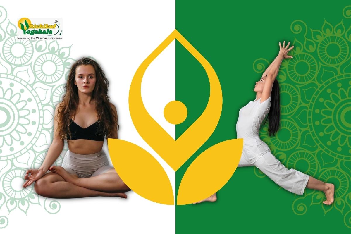 Hatha Yoga Vs Vinyasa Yoga: How Are They Different From One Another?