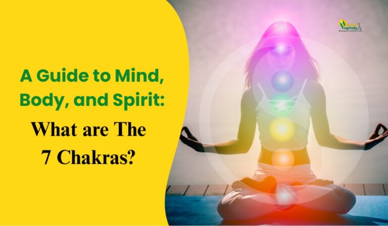A Guide to Mind, Body, and Spirit: What are The 7 Chakras