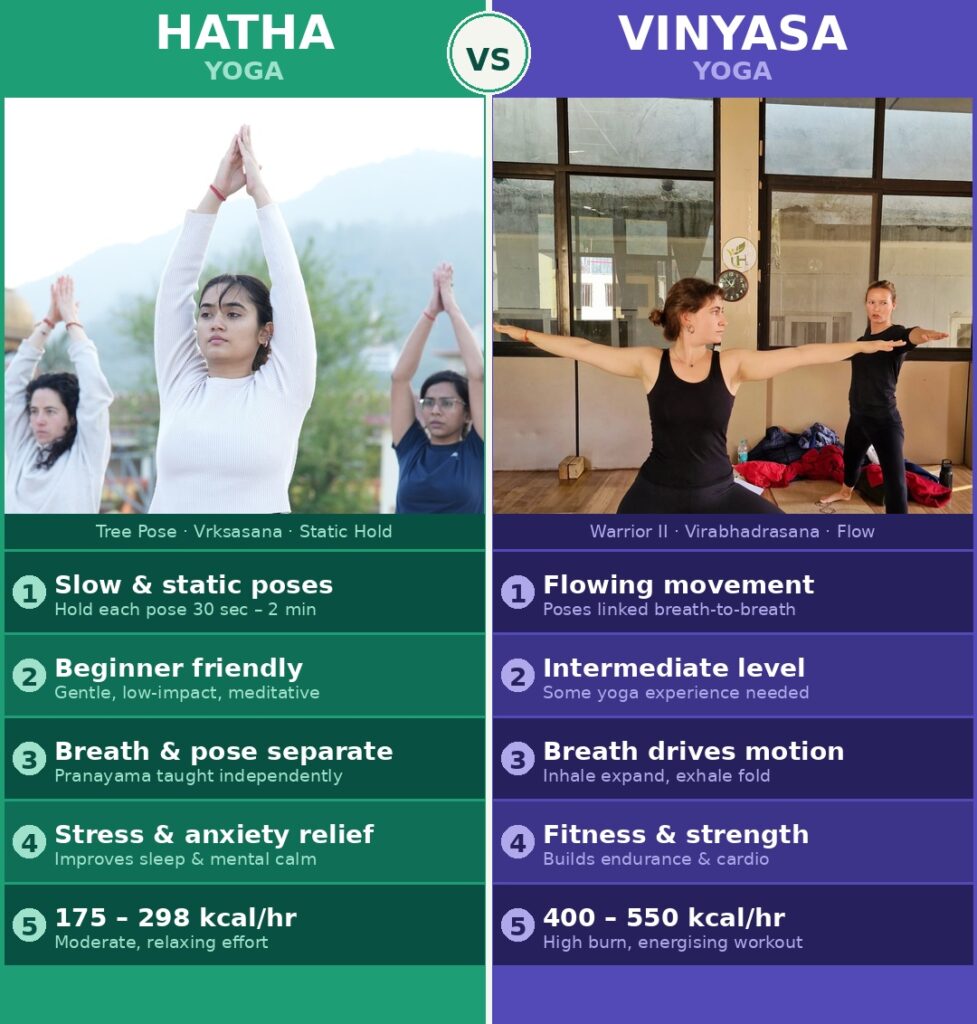 Hatha vs Vinyasa Yoga
