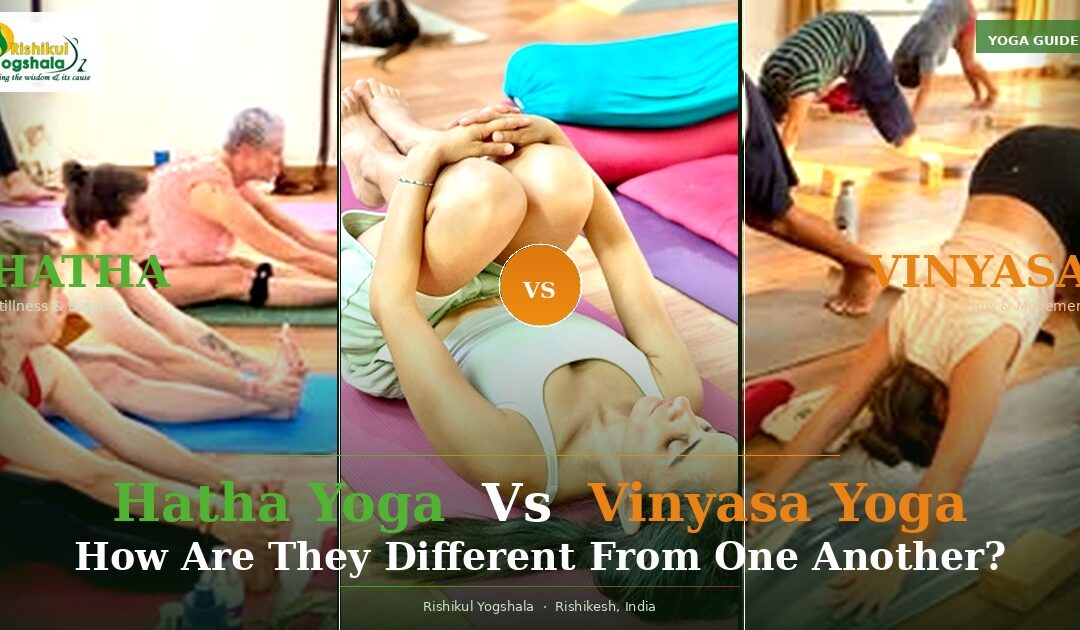 Hatha Yoga Vs Vinyasa Yoga: How Are They Different From One Another?