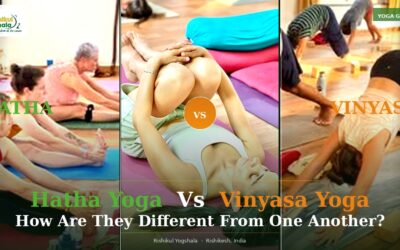 Hatha vs Vinyasa Yoga: Which One Is Right for You?