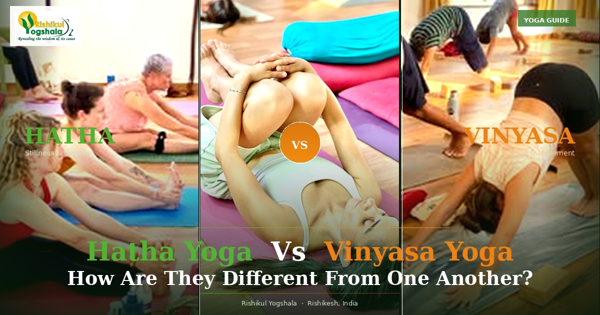 Hatha Yoga Vs Vinyasa Yoga