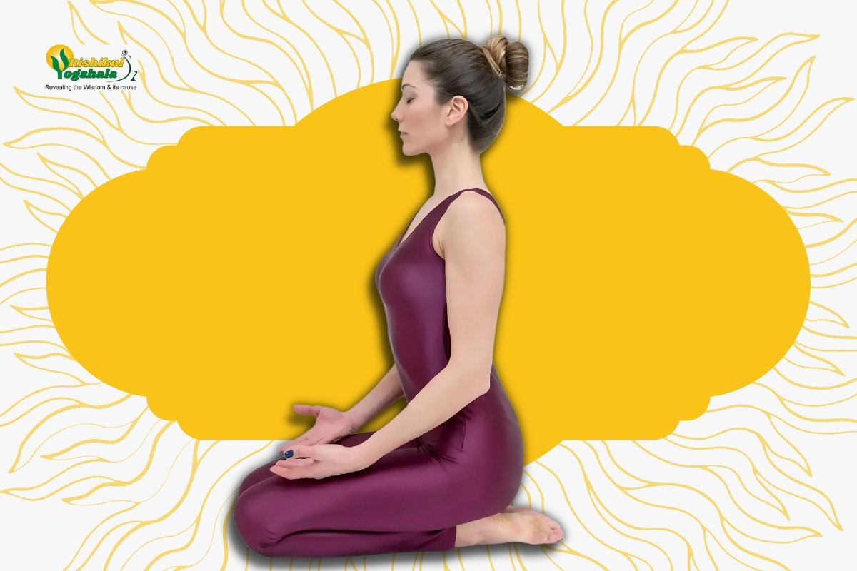 Young woman practicing thunderbolt asana in yoga studio. Vajrasana pose  Stock Photo | Adobe Stock