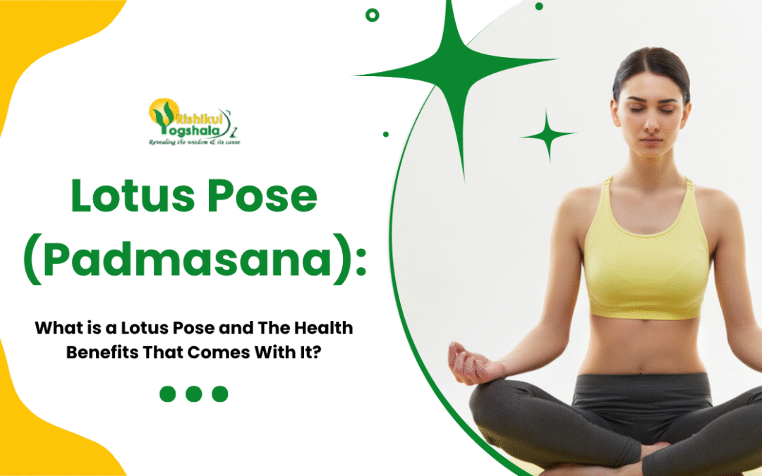 Lotus Pose (Padmasana): What is a Lotus Pose and The Health Benefits That Comes With It?