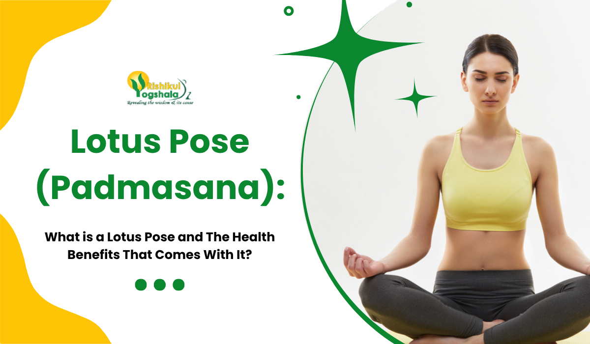 Lotus Pose (Padmasana) What is a Lotus Pose and The Health Benefits That Comes With It