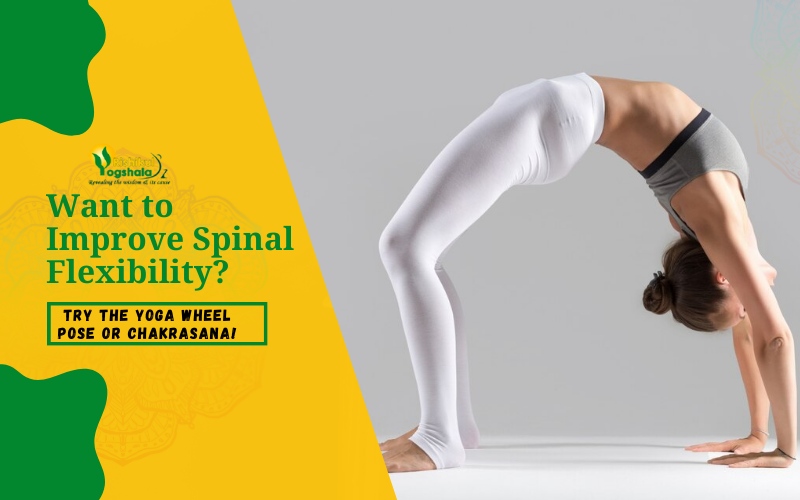 Want to Improve Spinal Flexibility? Try The Yoga Wheel Pose or Chakrasana!