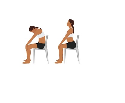 Seated Cat-Cow Pose