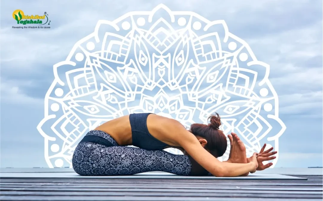 Paschimottanasana: Benefits, Steps, Precaution, Tips, and More!