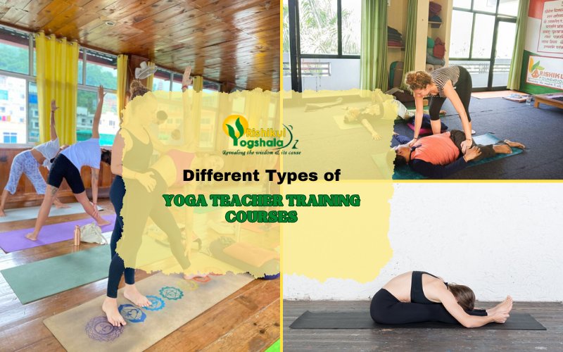 Different Types of Yoga Teacher Training Courses