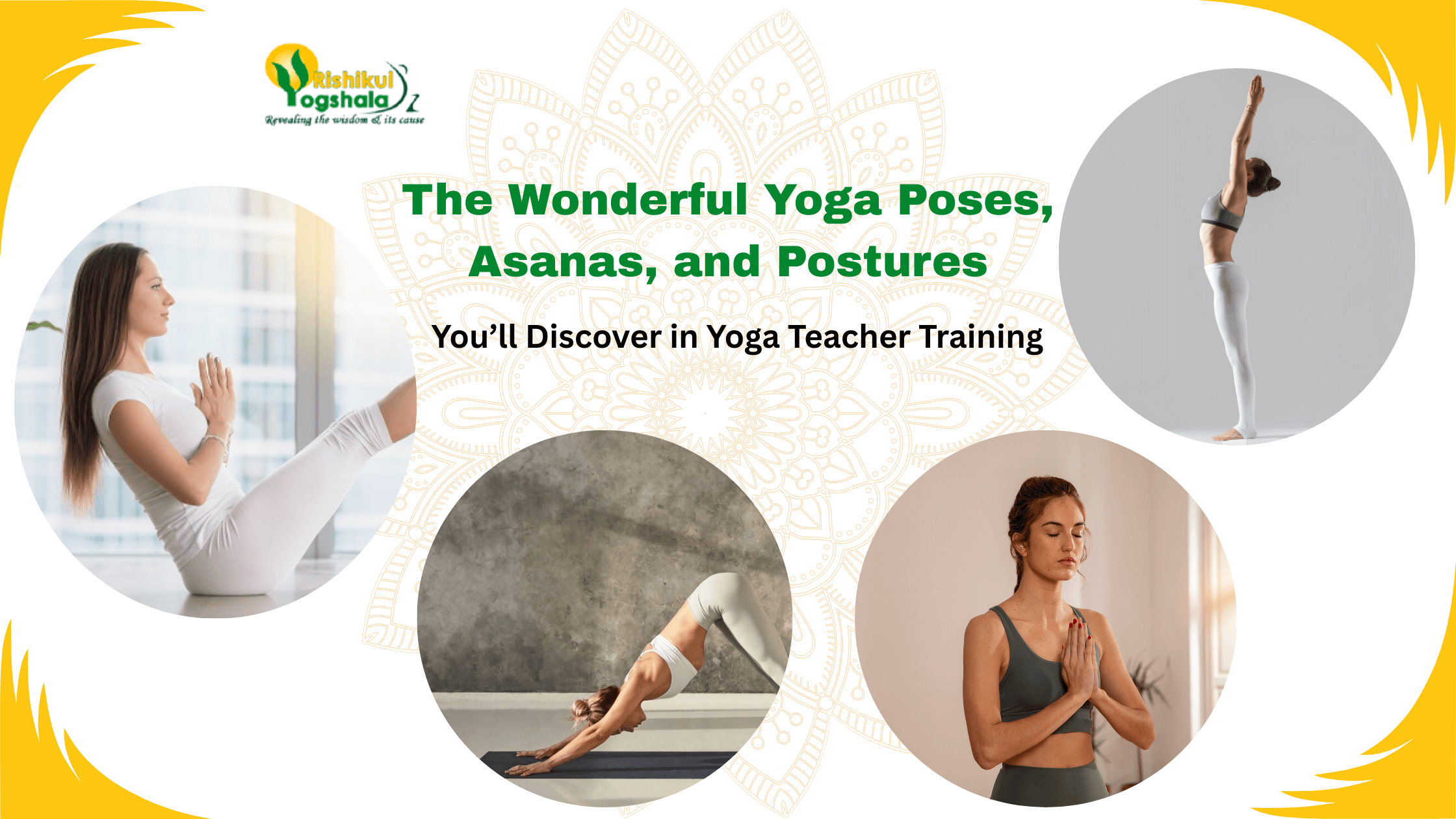 The Wonderful Yoga Poses, Asanas, and Postures You’ll Discover in Yoga Teacher Training