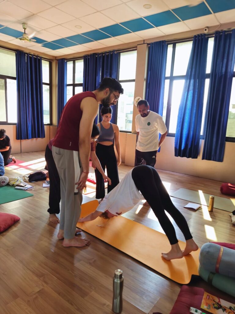 Student Performing Downward Dog Yoga Pose Student Performing Downward Dog Yoga Pose