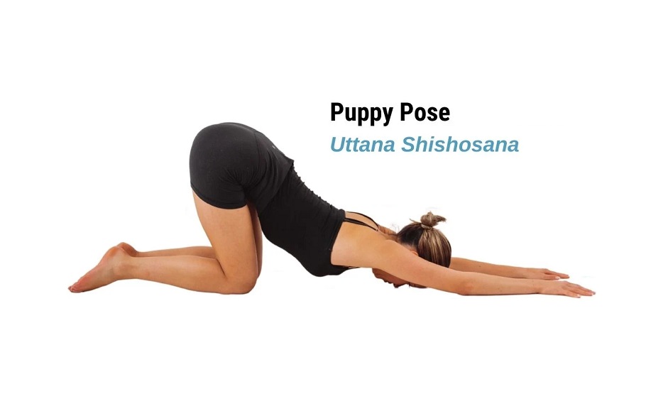Extended Puppy Pose (Uttana Shishosana)