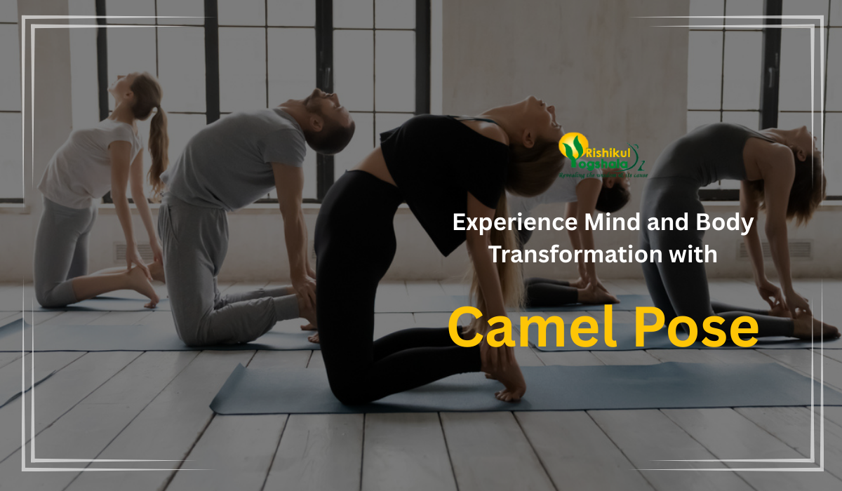 Experience Mind and Body Transformation with Camel Pose