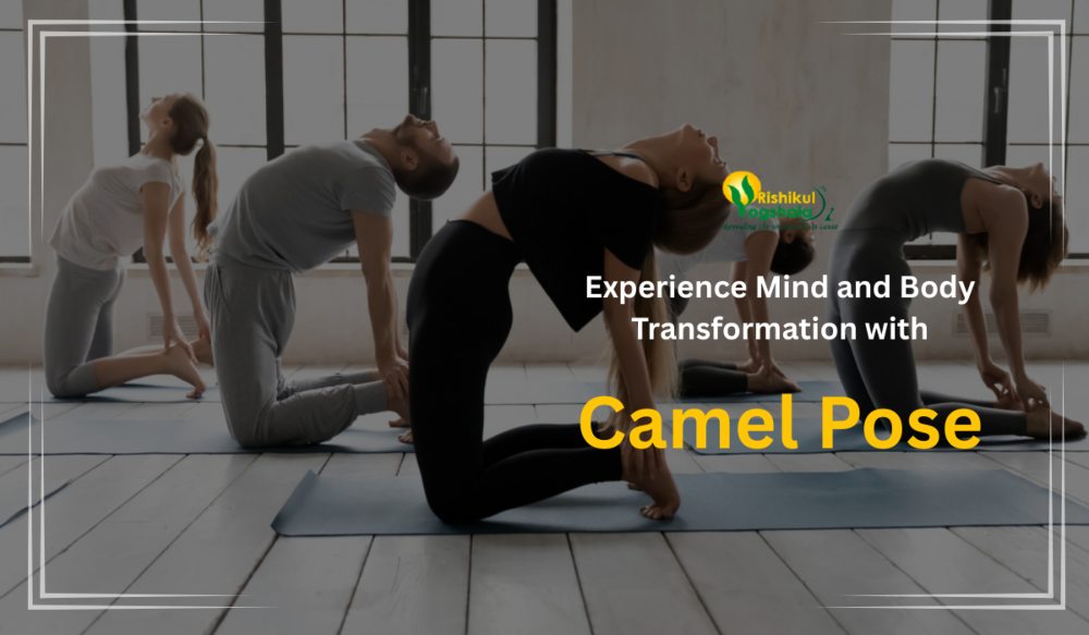 Experience Mind and Body Transformation with Camel Pose