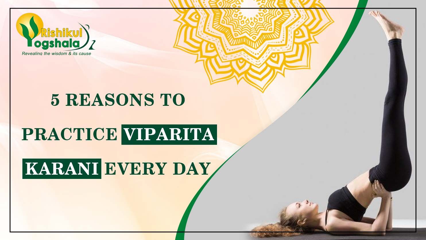5 Reasons to Practice Viparita Karani Every Day