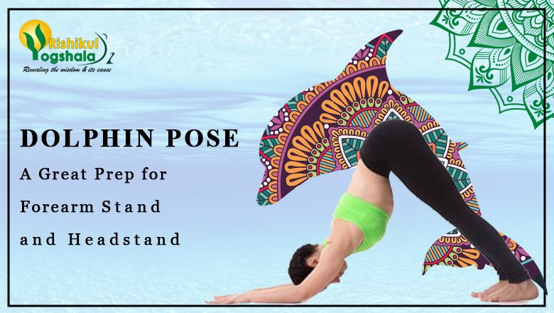 Intensify Your Yoga Practice With the Dolphin Plank | BODi