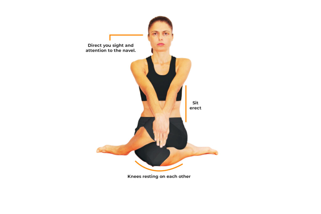 Key Alignment Of Asana Vrishasana Key Alignment Of Asana Vrishasana