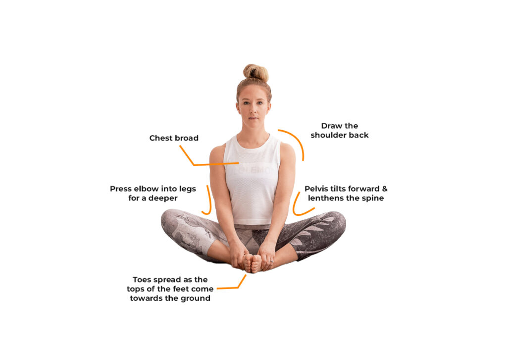 Key Alignment of Baddhakonasana Key Alignment of Baddhakonasana