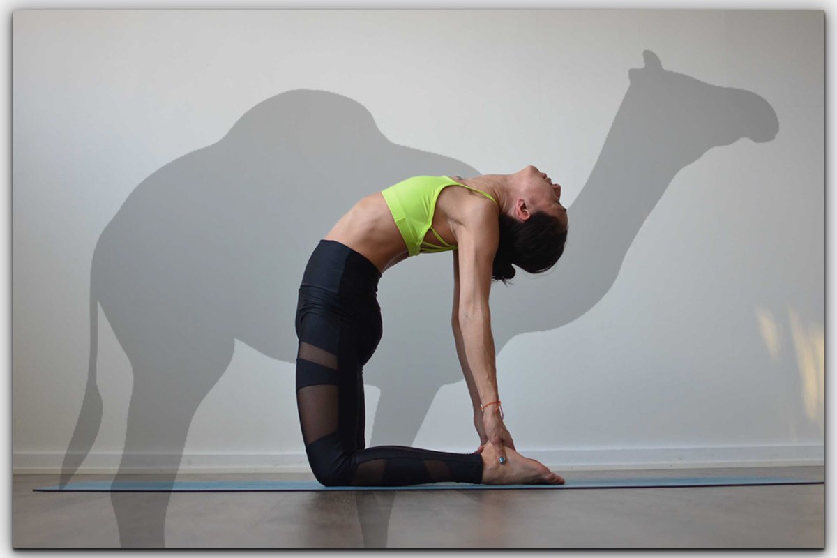 Ustrasana (Camel Pose) – Daily Yoga Routine with Human Interaction (Online  and Offline)