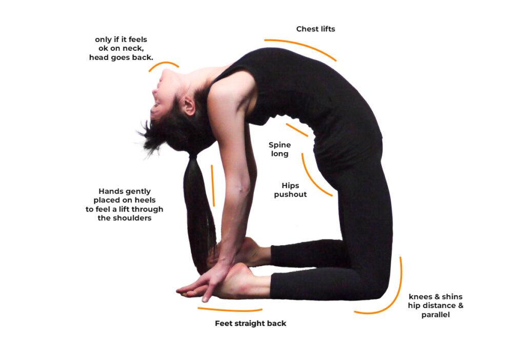 Teacher Practicing Ustrasana (Camel Pose) with Alignment Cues for Backbend Teacher Practicing Ustrasana (Camel Pose) with Alignment Cues for Backbend