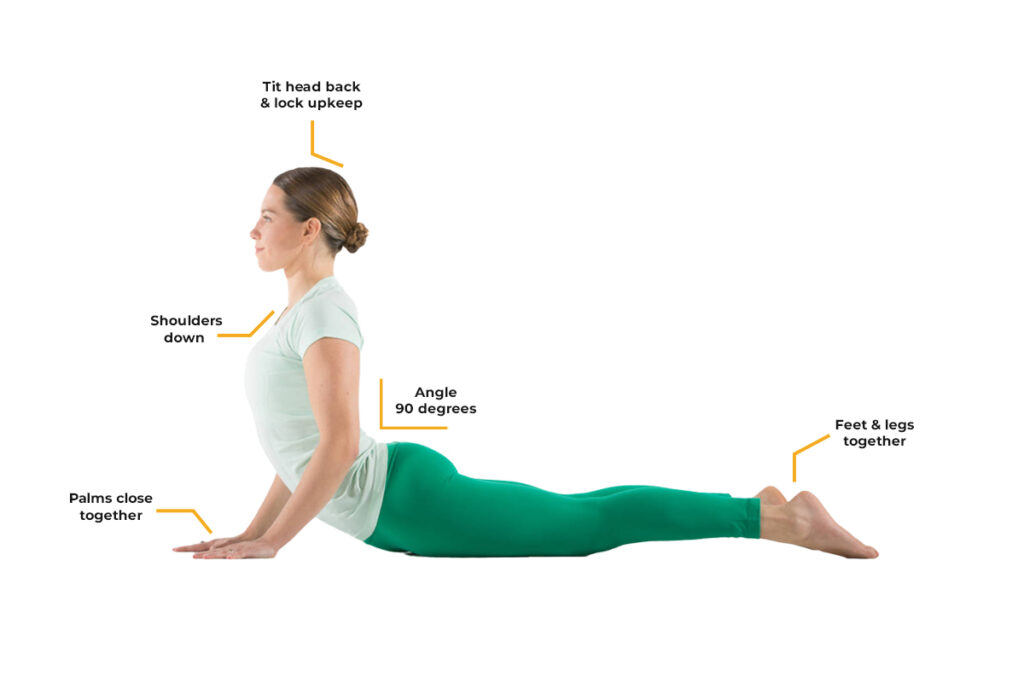 Key Alignment Of Bhujangasana Key Alignment Of Bhujangasana