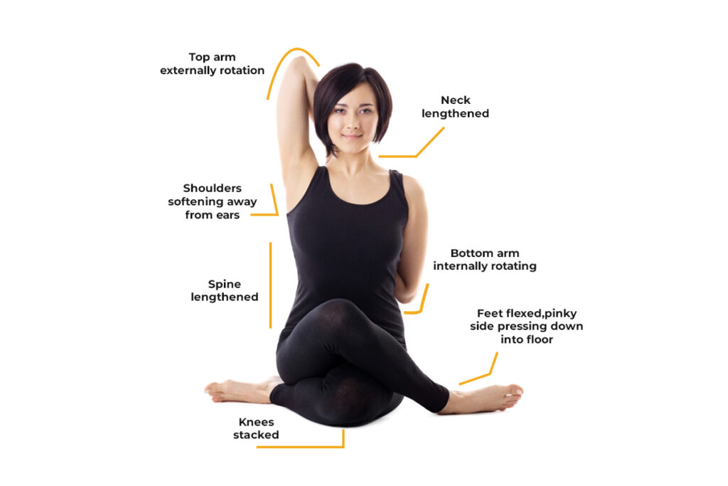 Yoga Student Performing Cow Pose (Gomukhasana) Yoga Student Performing Cow Pose (Gomukhasana)