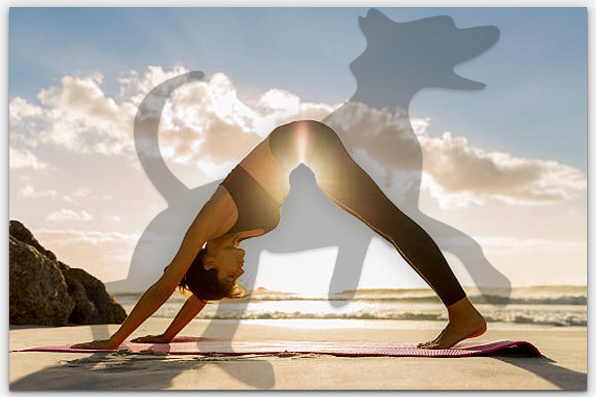 Downward Facing Dog Pose: Unveiling Physical and Mental Strength
