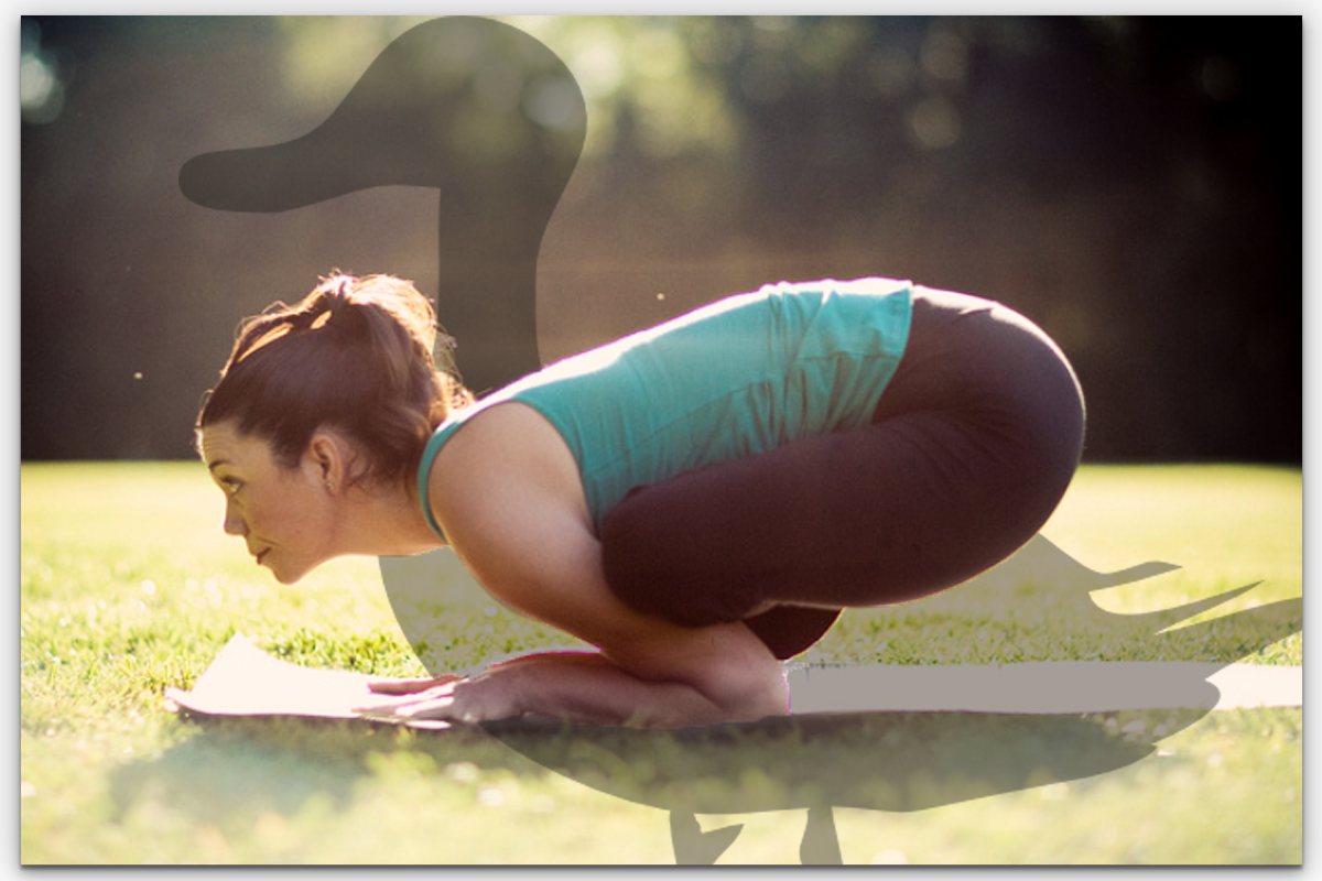 Yoga Student Performing Duck Pose Yoga Student Performing Duck Pose