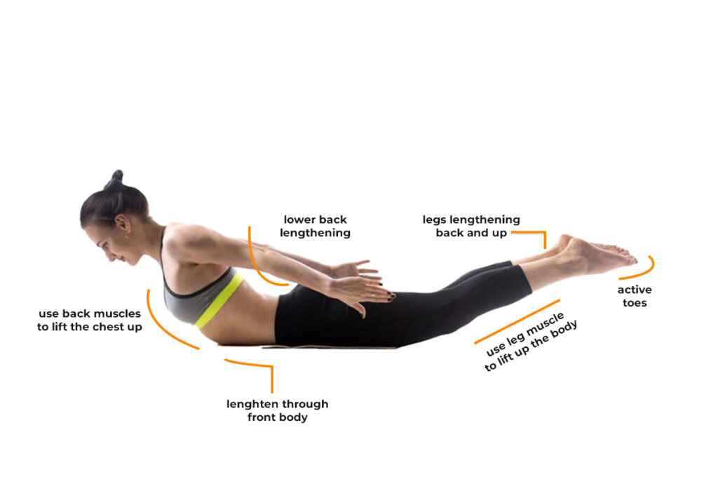 Key Alignment Of Locust Pose Key Alignment Of Locust Pose