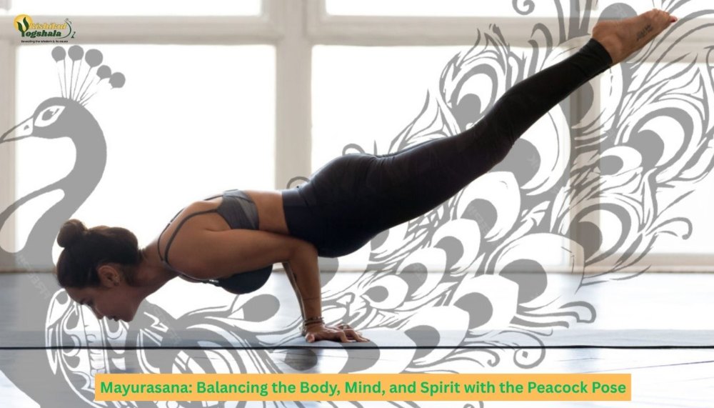 Mayurasana: Balancing the Body, Mind, and Spirit with the Peacock Pose