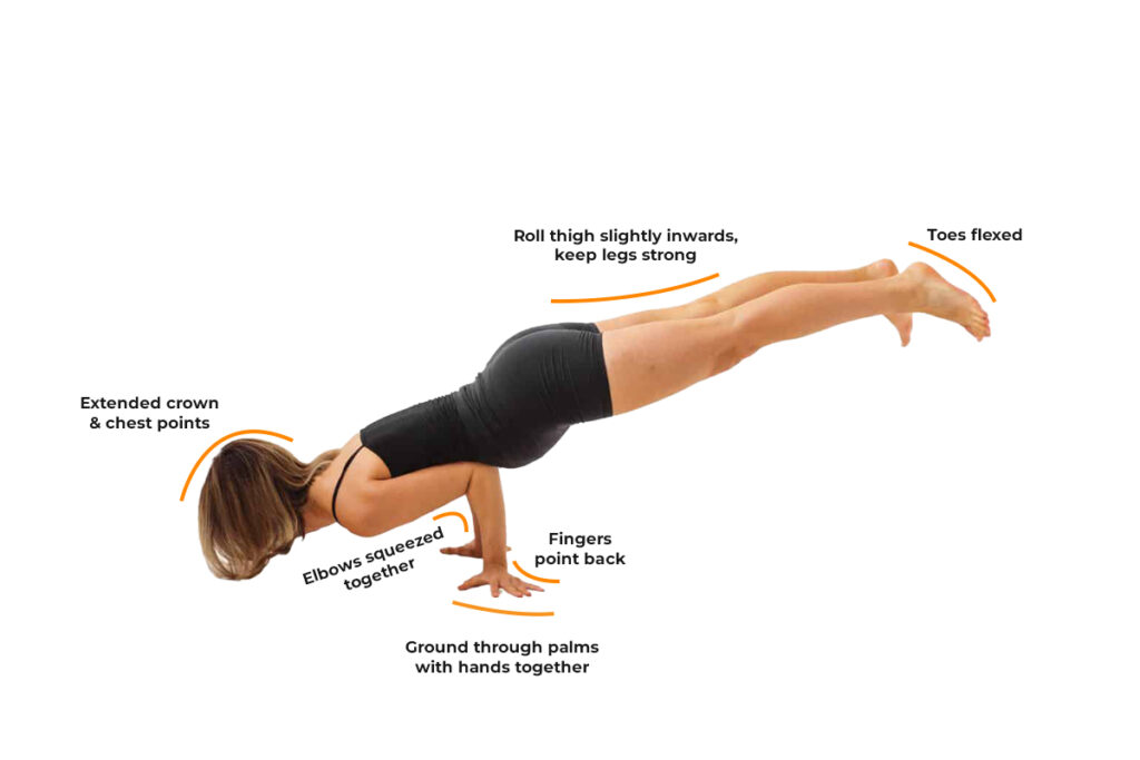 Key Alignment Of Mayurasana Key Alignment Of Mayurasana