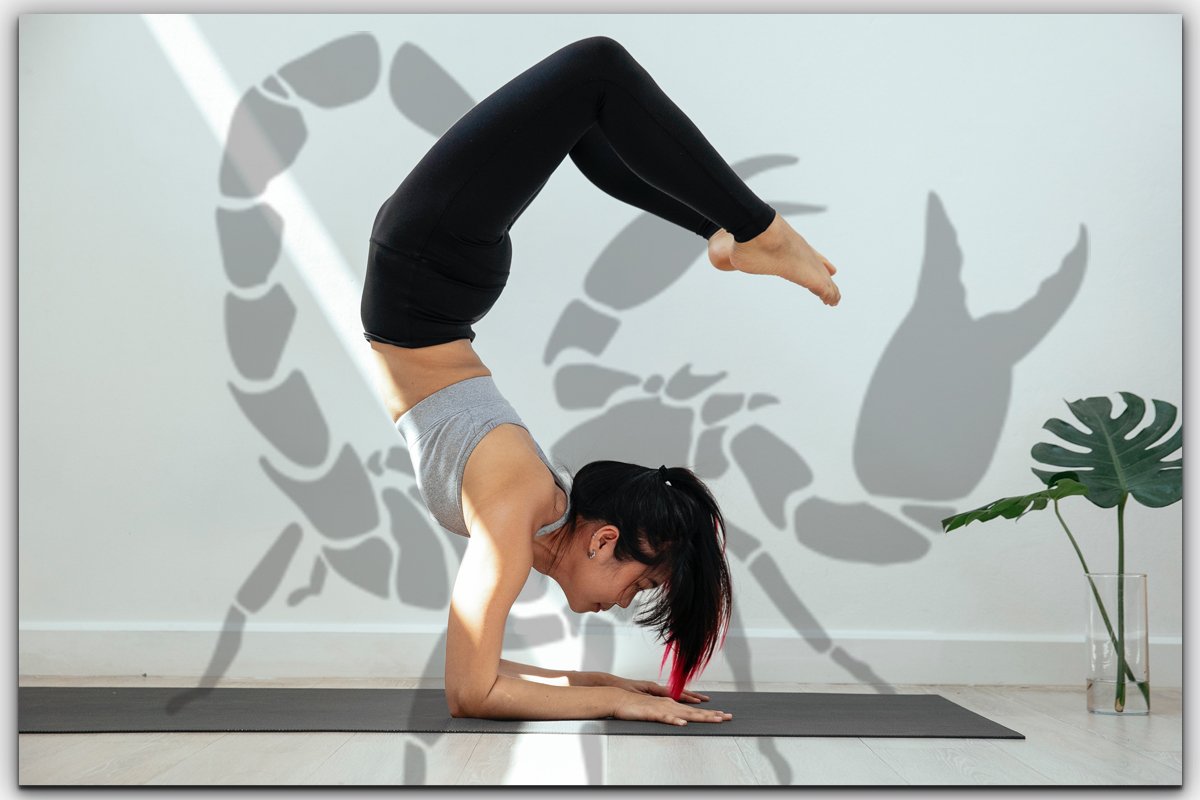 Yoga The Scorpion Pose | World News, Latest and Breaking News, Top  International News Today - Firstpost