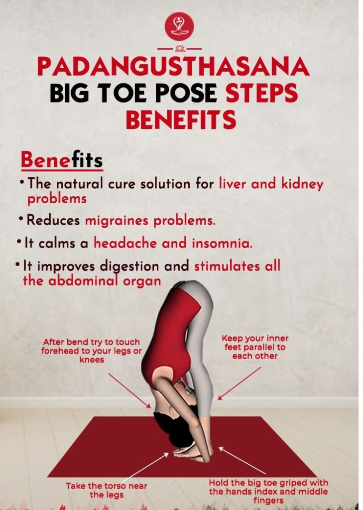 Padangusthasana Big Toe Pose – Steps & Benefits
