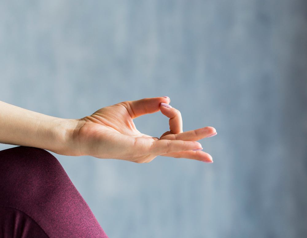 Gyan Mudra (Mudra of Knowledge) Gyan Mudra (Mudra of Knowledge)