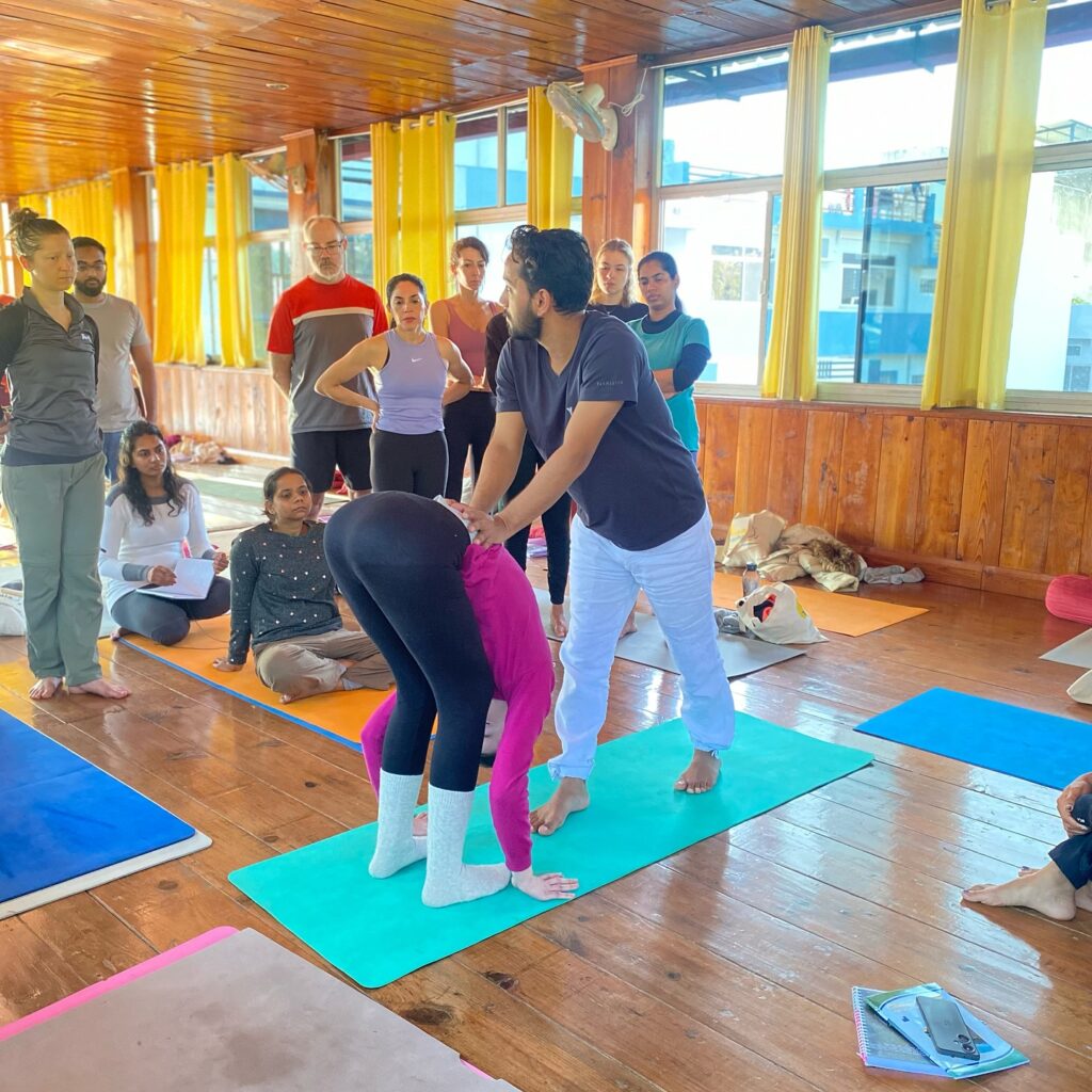 Students Performing Uttanasana During 200 hour YTTC at Rishikul Yogshala Rishikesh