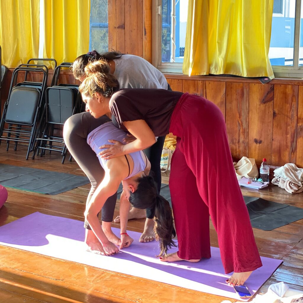 Students Performing Uttanasana During Yoga TTC at Rishikul Yogshala Rishikesh